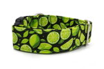 Obojok Lime