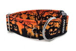 Obojok Halloween