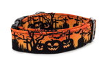 Obojok Halloween