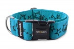 Obojok Stars