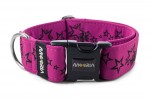 Obojok Stars