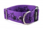 Obojok Stars