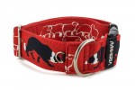 Obojok Border Collie Life Red