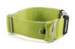 Obojok Lime Green