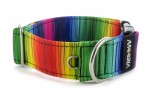 Obojok Rainbow lines