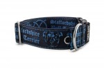 Obojok Staffordshire Bull Terrier Blue
