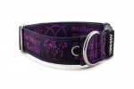 Obojok Staffordshire Bull Terrier Violet