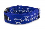 Obojok Border Collie Life Blue
