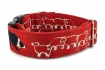 Obojok Border Collie Life Red