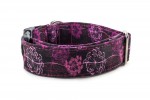 Obojok Hogweed Purple