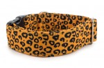 Obojok Jaguar