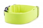 Obojok Neon Yellow