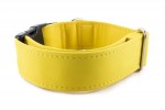 Obojok Pastel Yellow