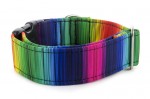 Obojok Rainbow lines