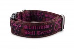 Obojok Staffordshire Bull Terrier Pink