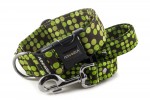 Obojok Bright Green Dots