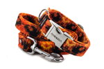 Halsband Fire mit der Leine