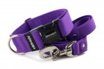 Obojok Fuchsia Violet