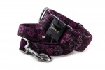 Obojok Hogweed Purple