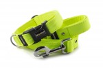 Obojok Neon Yellow