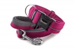 Halsband Reflex Magenta I mit der Leine