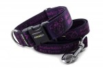 Obojok Staffordshire Bull Terrier Violet