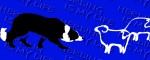 Obojok Border Collie Life Blue