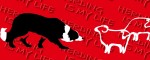 Obojok Border Collie Life Red