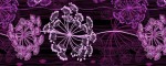 Obojok Hogweed Purple