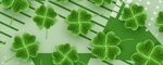 Obojok Lucky Leaves