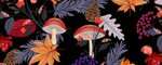 Obojok Mushrooms  - Vzor