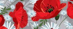 Obojok Poppy Fields