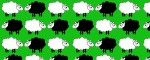 Vodítko Sheep Dream Green  - Vzor