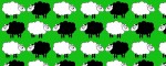 Obojok Sheep Dream Green