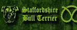 Vodítko Staffordshire Bull Terrier Green  - Vzor