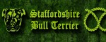 Obojok Staffordshire Bull Terrier Green