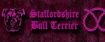 Obojok Staffordshire Bull Terrier Pink  - Vzor