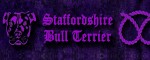 Vodítko Staffordshire Bull Terrier Violet  - Vzor