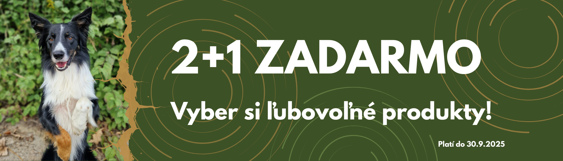 2+1 ZADARMO