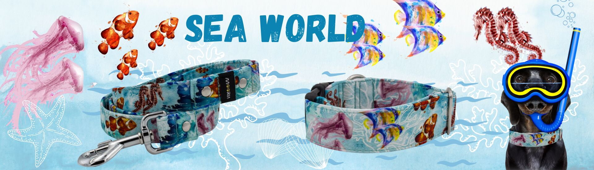 Obojok Sea World