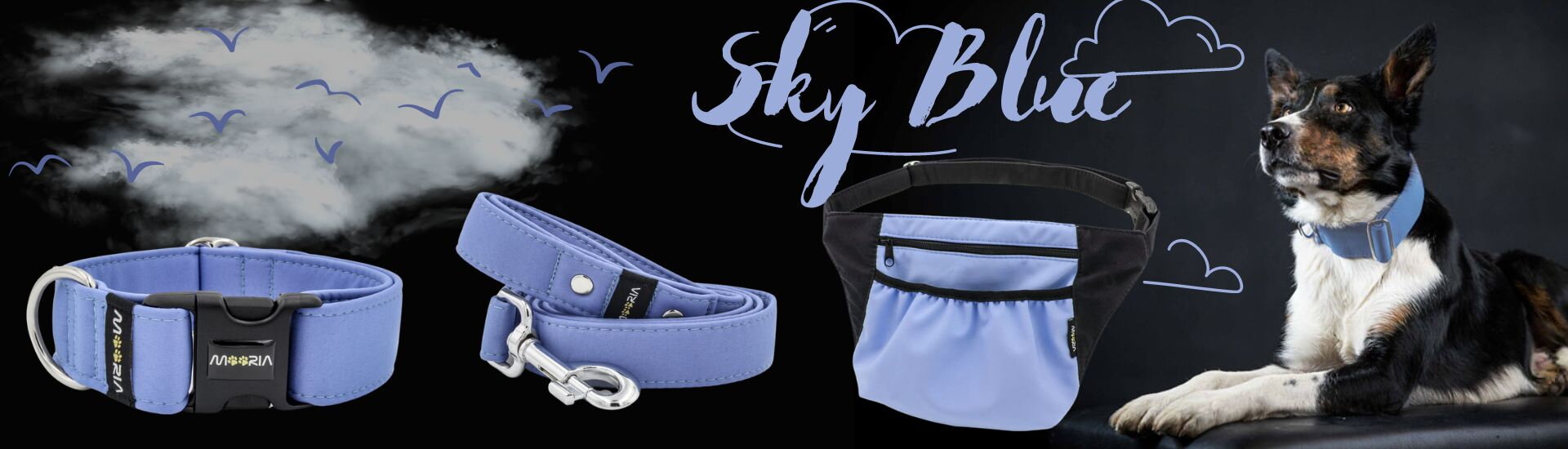 Obojok Sky Blue