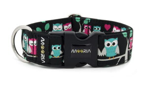 Obojok Owl Love