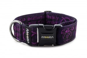 Collar Staffordshire Bull Terrier Violet