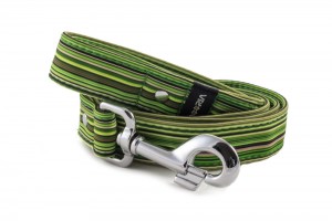 Leash Casual Green