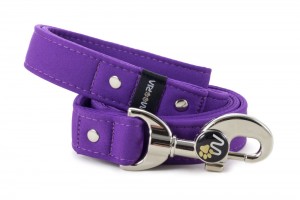 Leash Fuchsia Violet