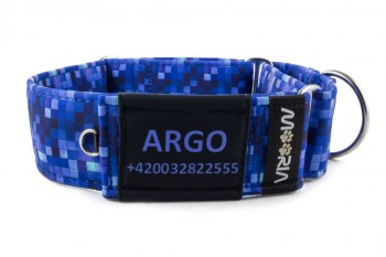 Name tag on Martingale collar