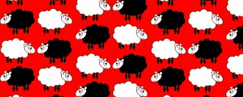 Sheep Dream Red