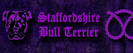 Staffordshire Bull Terrier Violet