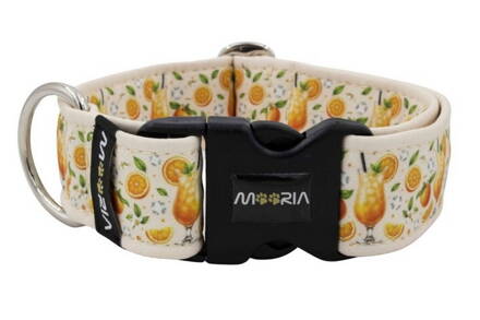 Obojok Citrus Fiesta
