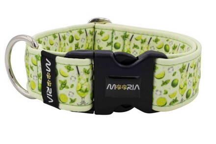 Obojok Lime Mojito